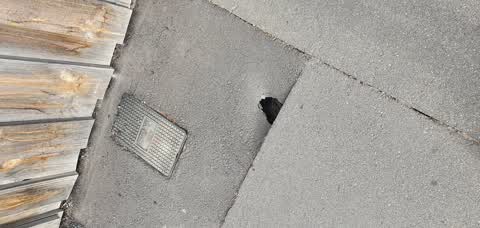 Street Light Outage, a report photo
