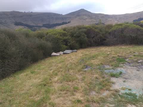 Rubbish/Recycling, a report photo