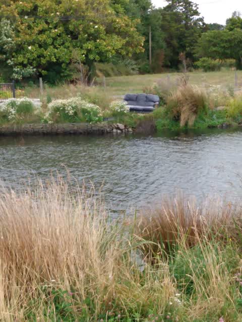 Rubbish/Recycling, a report photo