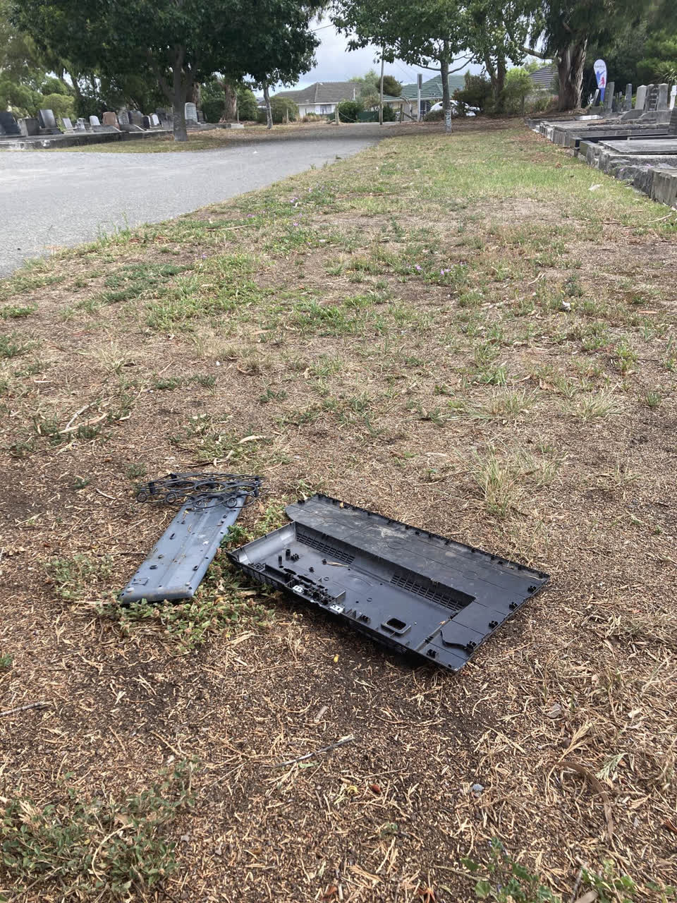 The photograph attached to this parks report