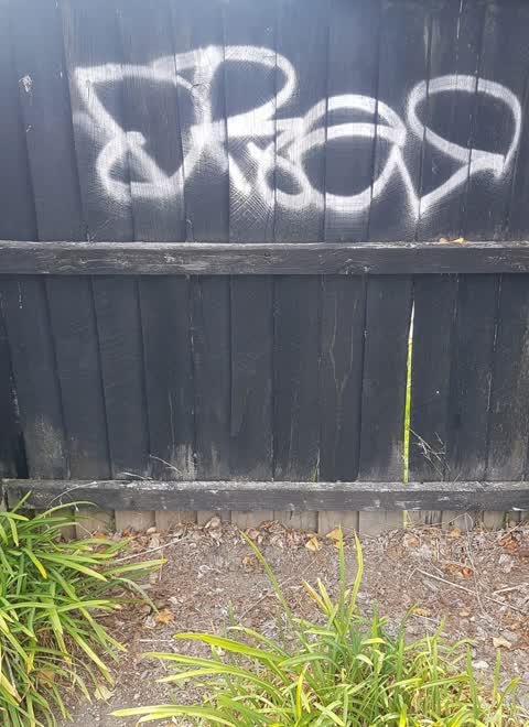 Graffiti, a report photo