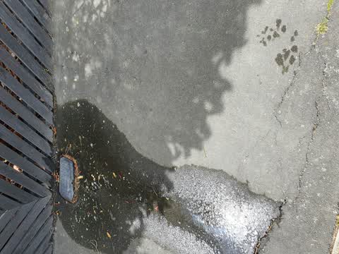 Water Supply, a report photo