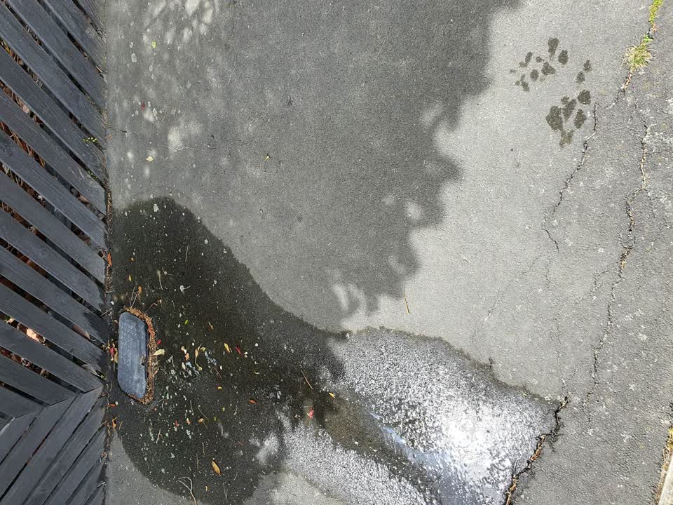 The photograph attached to this water supply report