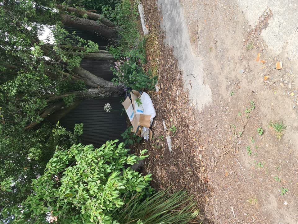 The photograph attached to this parks report