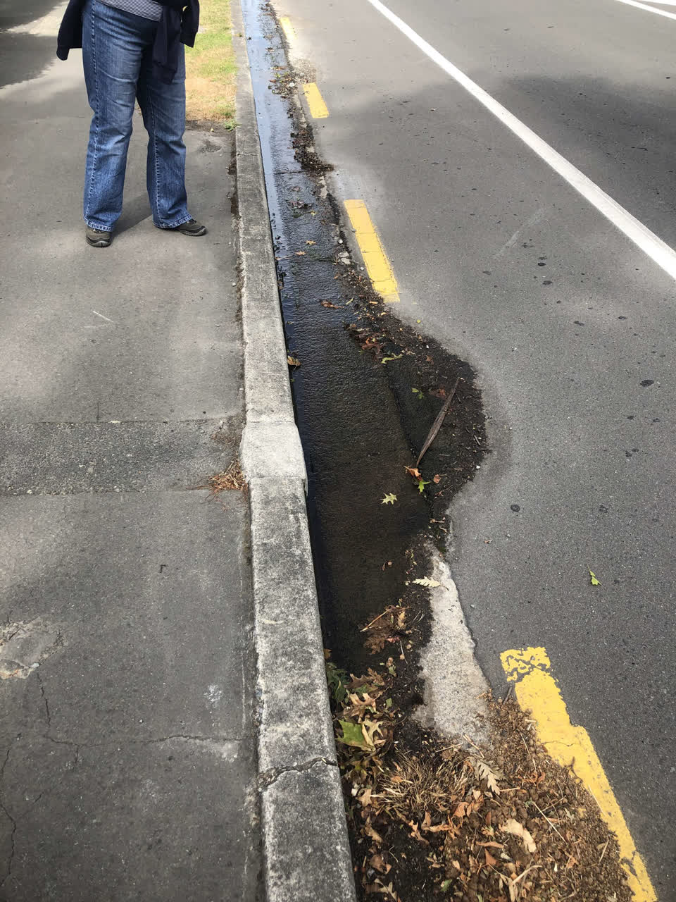 The photograph attached to this water leak report