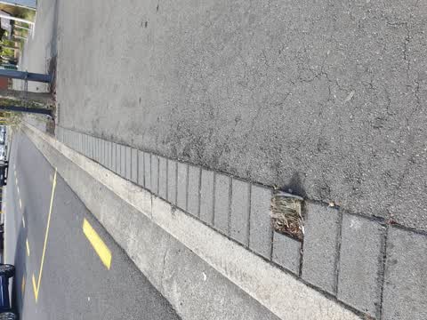 Roading/Streets, a report photo