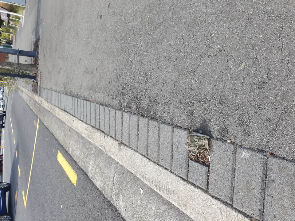 The photograph attached to this roading/streets report