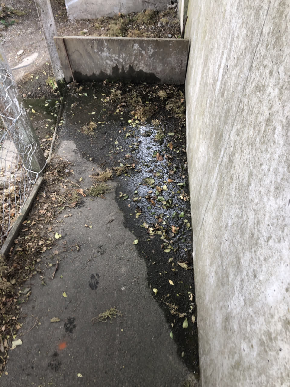 The photograph attached to this water leak report