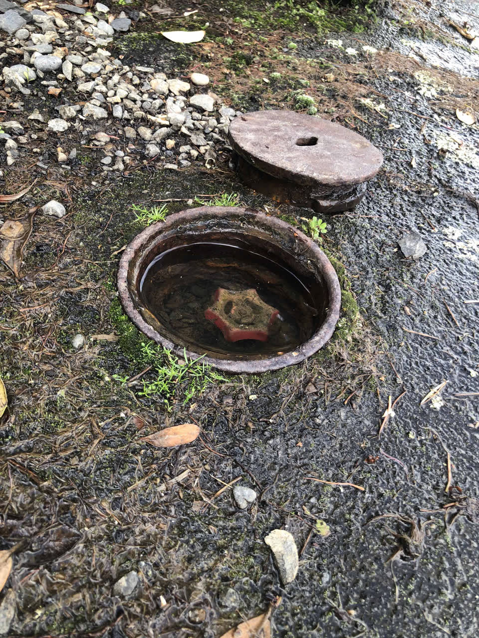 The photograph attached to this water leak report