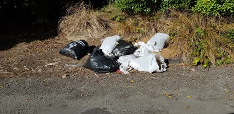 Rubbish/Recycling, a report photo