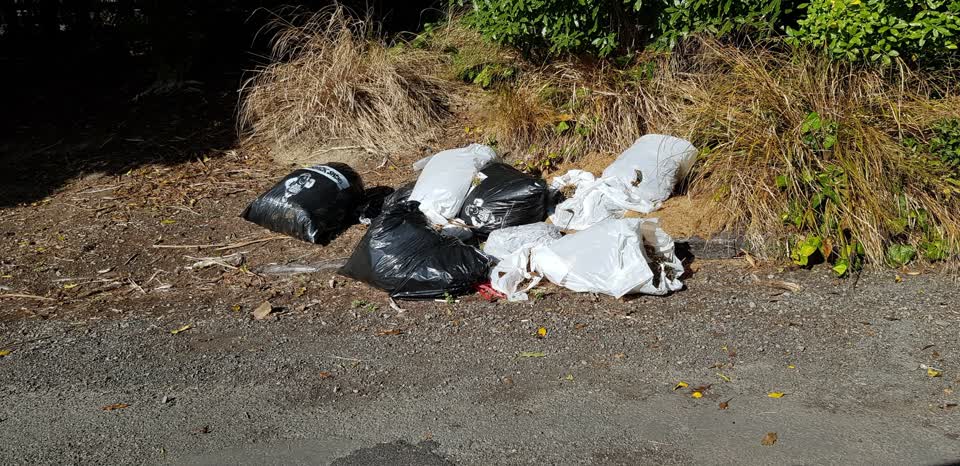 The photograph attached to this rubbish/recycling report