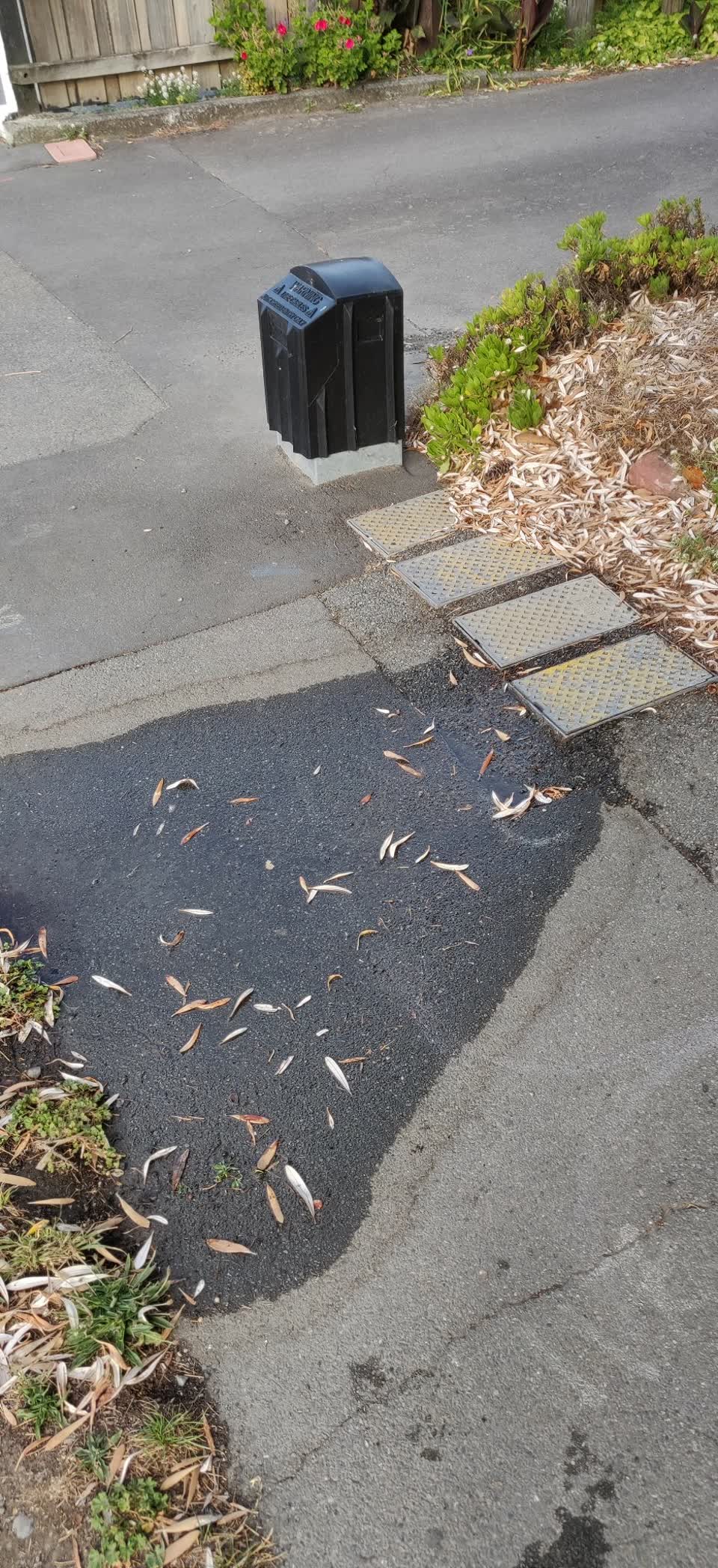 The photograph attached to this water leak report