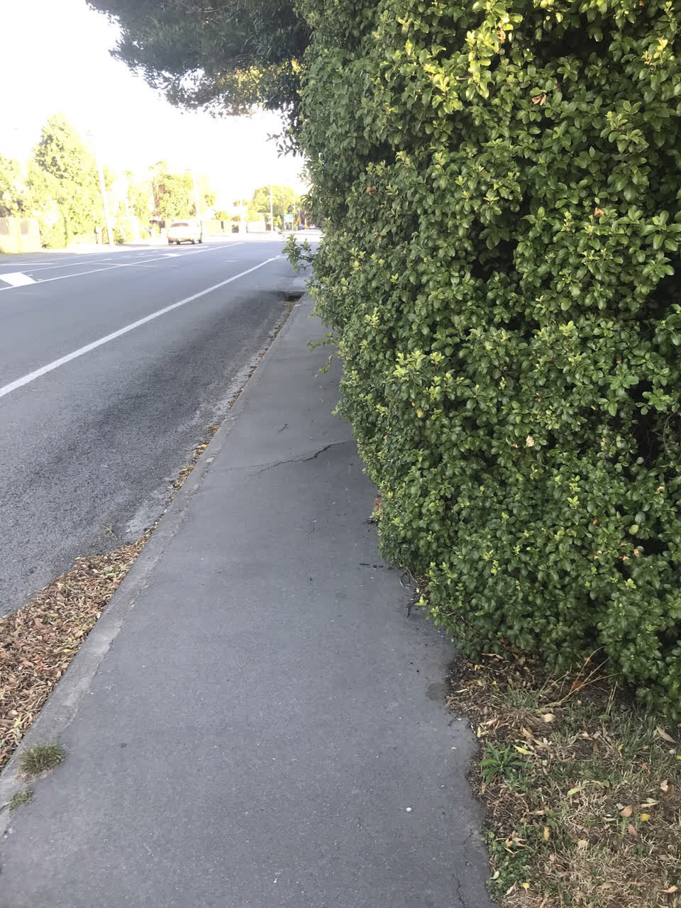 The photograph attached to this roading/streets report