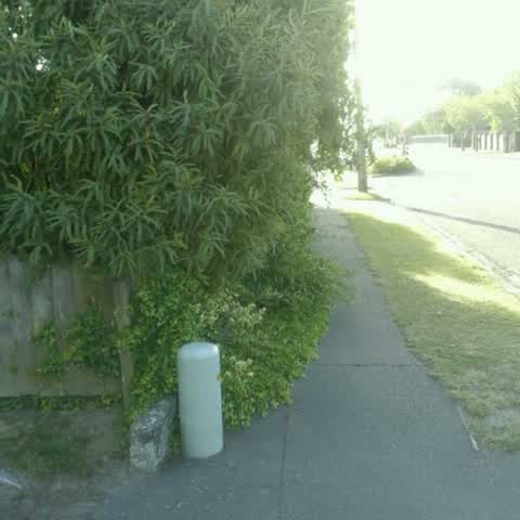 Roading/Streets, a report photo