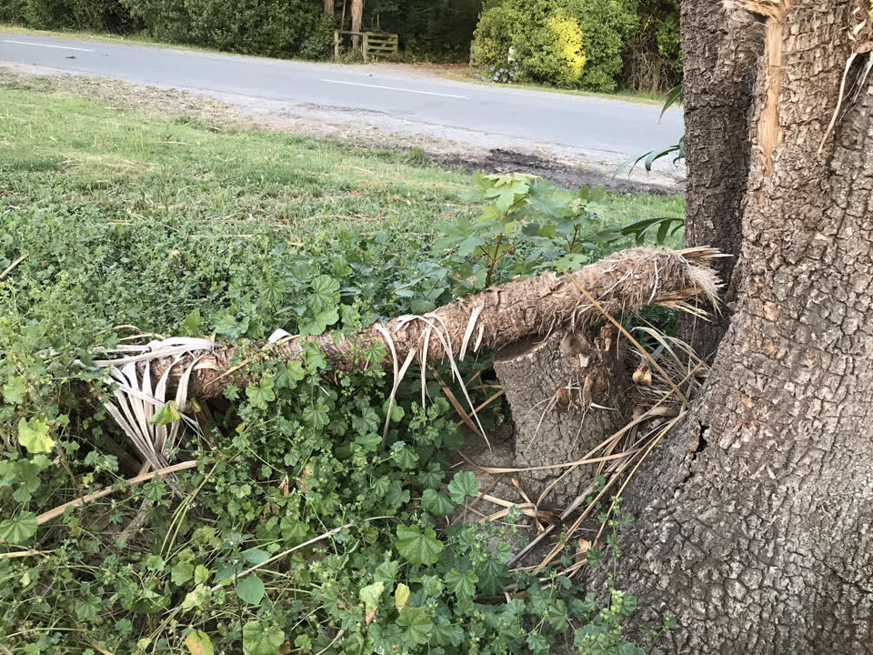 The photograph attached to this street light outage report