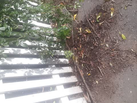Water Leak, a report photo
