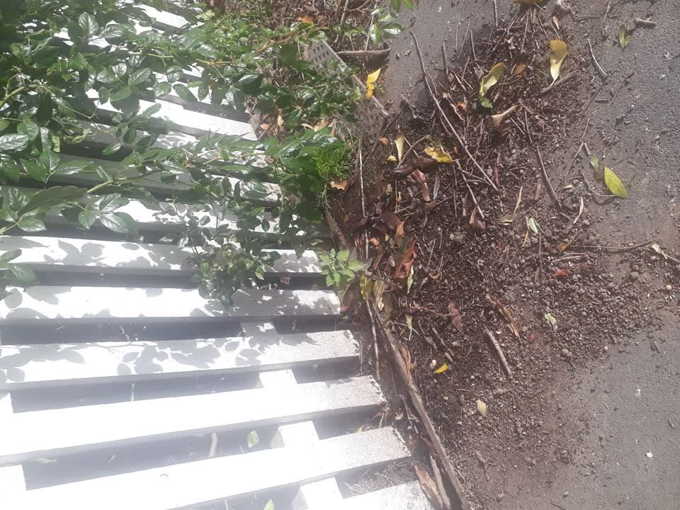 The photograph attached to this water leak report