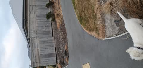 Parks, a report photo