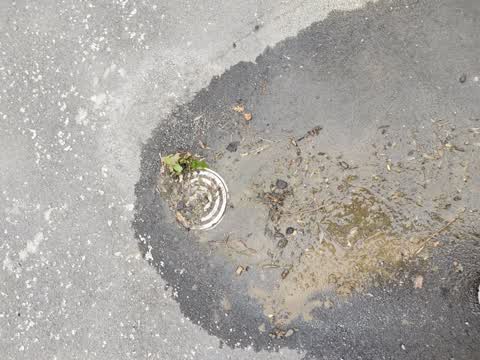 Water Leak, a report photo
