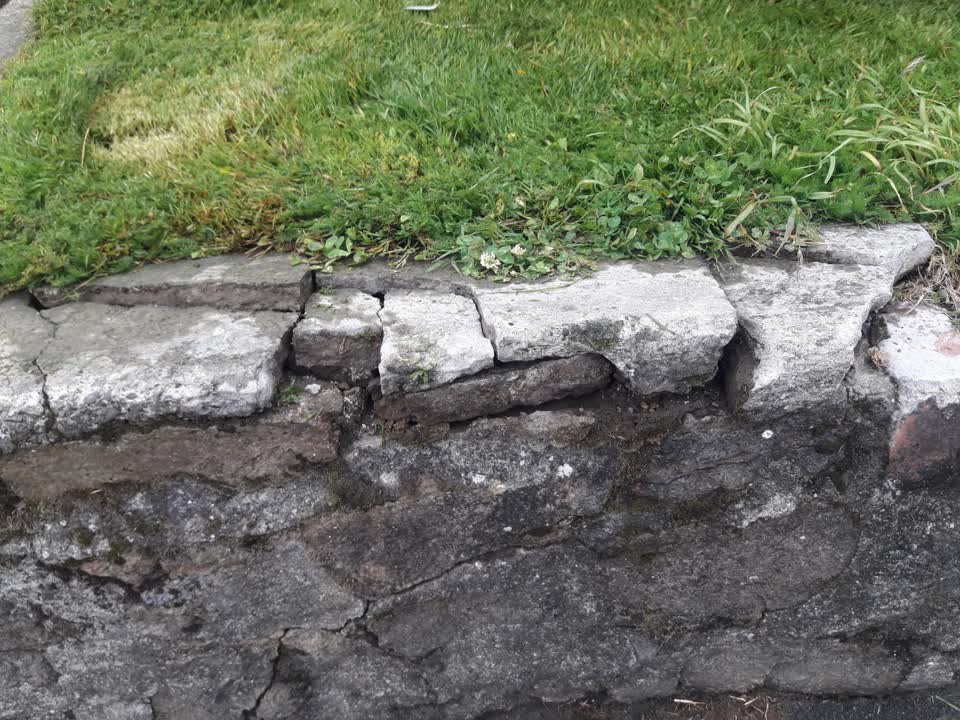 The photograph attached to this parks report