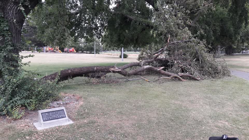 The photograph attached to this parks report