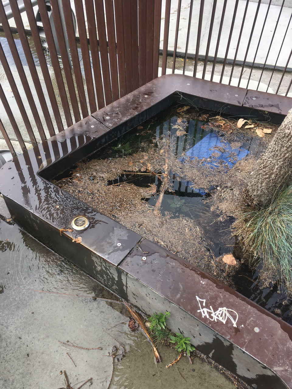 The photograph attached to this parks report