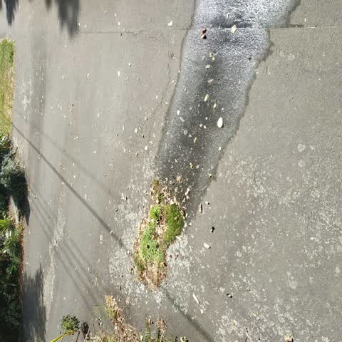 Water Leak, a report photo