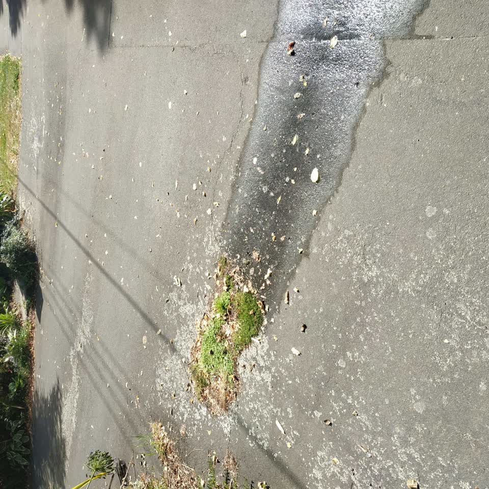 The photograph attached to this water leak report