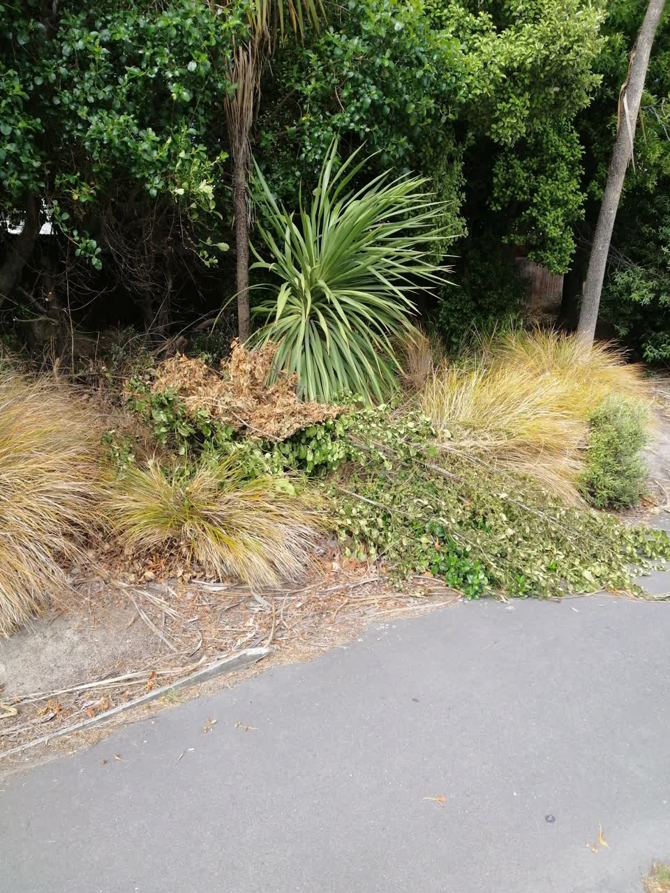 The photograph attached to this parks report