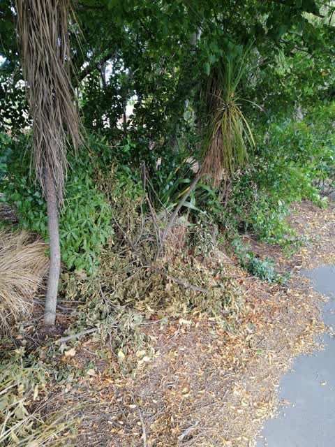 Parks, a report photo