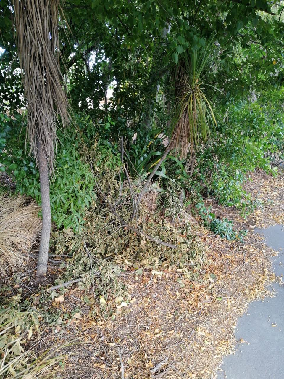 The photograph attached to this parks report