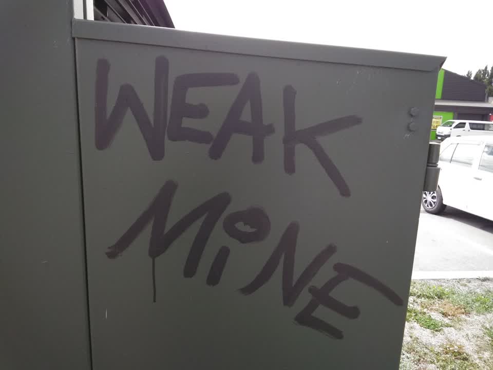 The photograph attached to this graffiti report