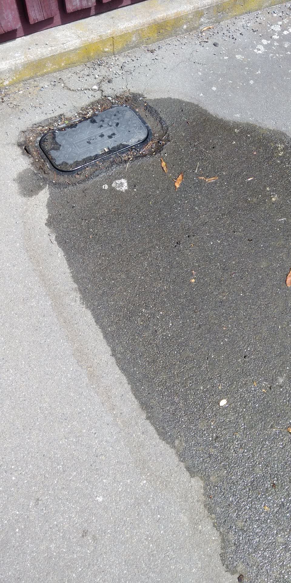 The photograph attached to this water leak report