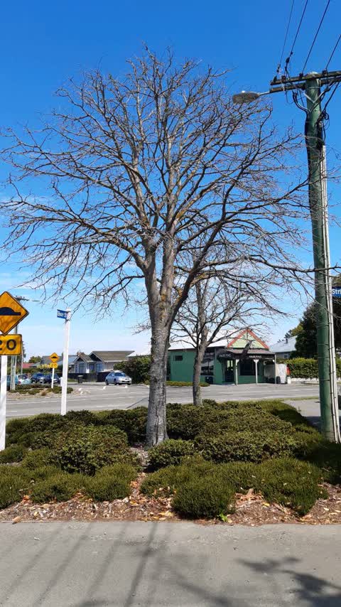 Parks, a report photo