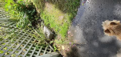 Water Leak, a report photo