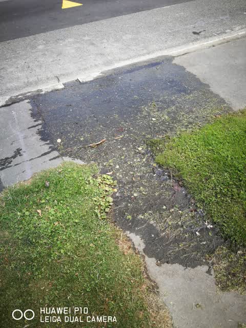 Water Leak, a report photo