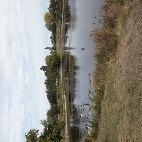 Parks, a report photo