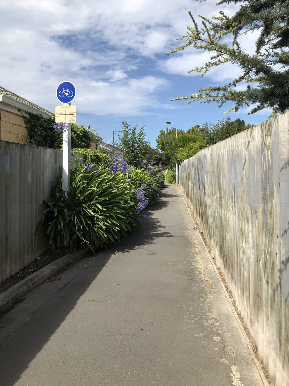 The photograph attached to this street light outage report