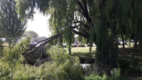 Parks, a report photo