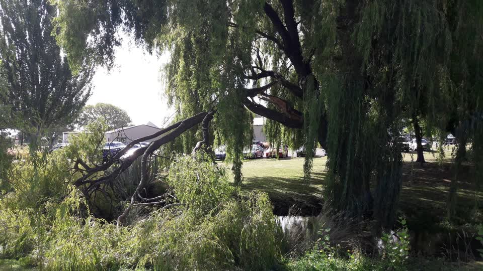 The photograph attached to this parks report