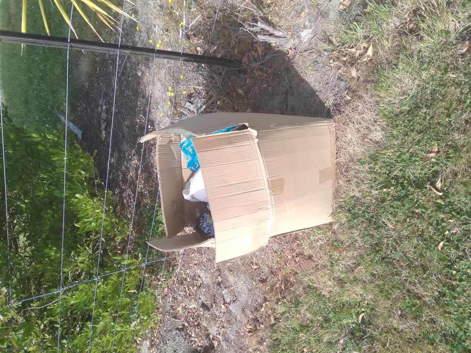 The photograph attached to this rubbish/recycling report