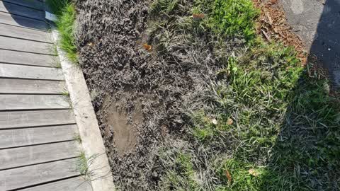 Flooding, a report photo