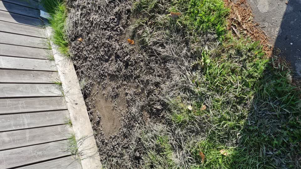The photograph attached to this flooding report