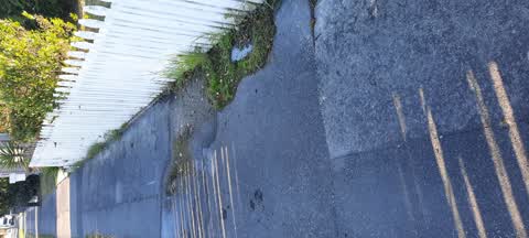 Water Leak, a report photo
