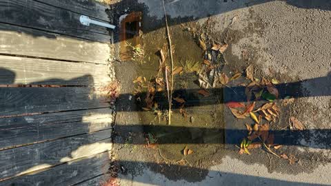 Water Leak, a report photo