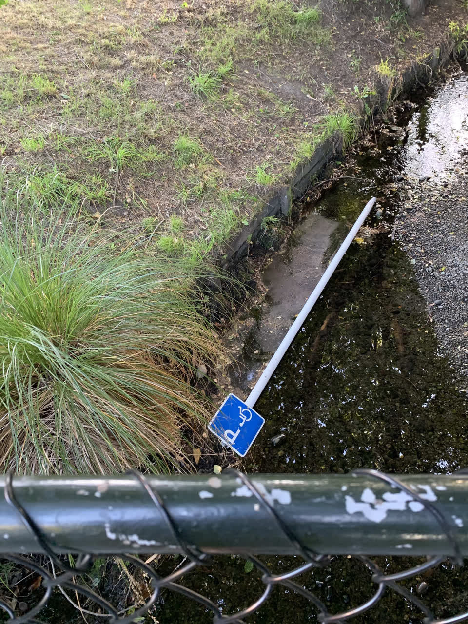 The photograph attached to this parks report