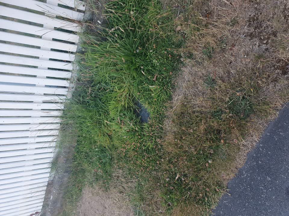 The photograph attached to this water supply report