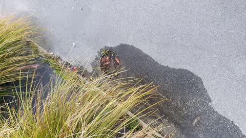 Water Leak, a report photo