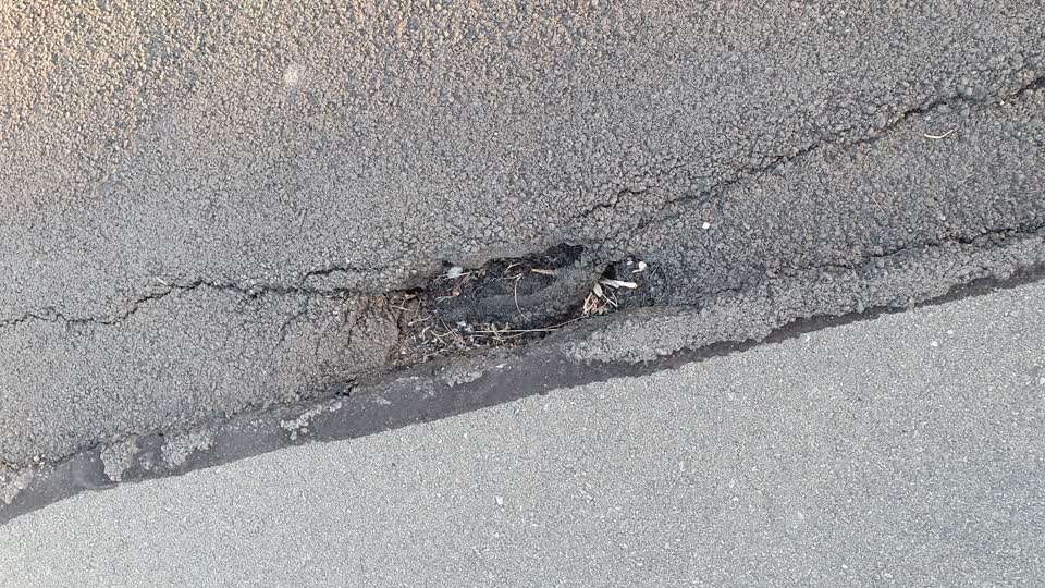The photograph attached to this street light outage report
