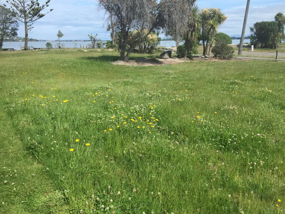 The photograph attached to this parks report